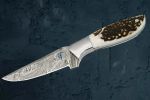 Damascus Steel Outdoor Knife | Antler Handle | Faneema Cutlery